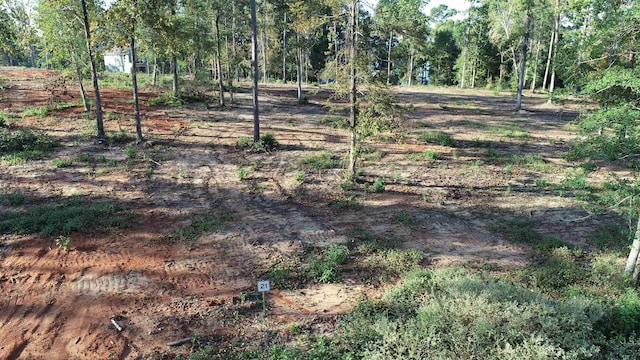 157 Rebel Cv, Milam, TX 75959