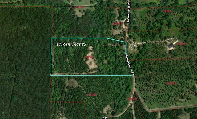 550 Robert Jones Rd, Huntington TX, 75949 land for sale