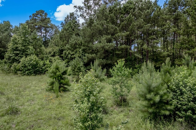 2149 Martin Cochran Rd, Huntington, TX 75949