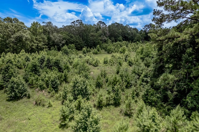 2149 Martin Cochran Rd, Huntington, TX 75949