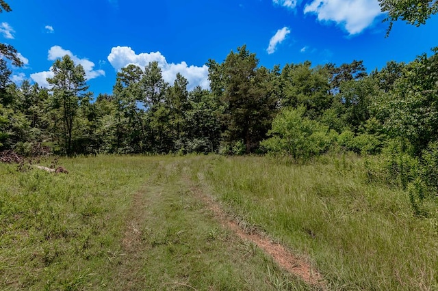 2149 Martin Cochran Rd, Huntington, TX 75949