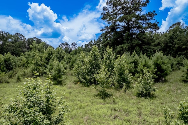 2149 Martin Cochran Rd, Huntington, TX 75949