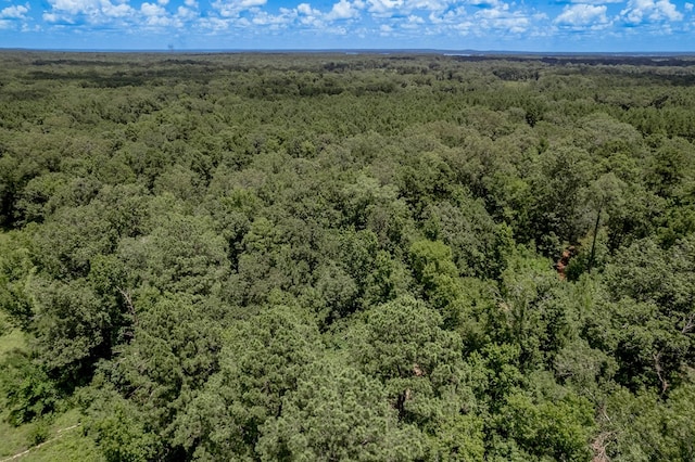 2149 Martin Cochran Rd, Huntington, TX 75949