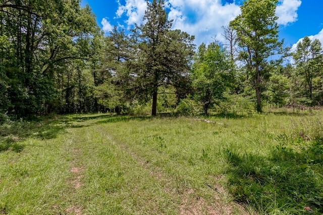 2149 Martin Cochran Rd, Huntington, TX 75949