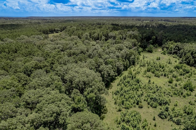 2149 Martin Cochran Rd, Huntington, TX 75949