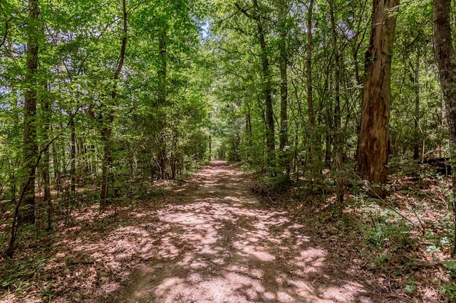 2149 Martin Cochran Rd, Huntington, TX 75949