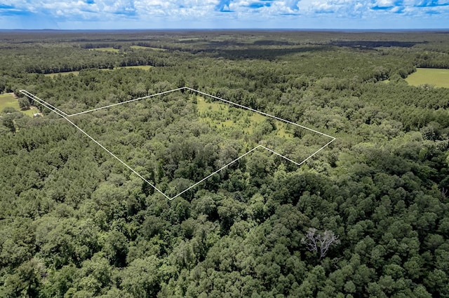 2149 Martin Cochran Rd, Huntington, TX 75949