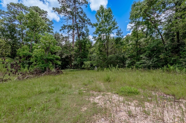 2149 Martin Cochran Rd, Huntington, TX 75949