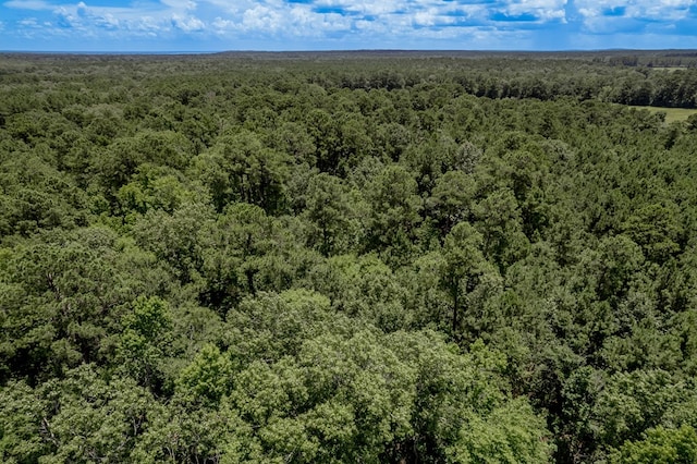 2149 Martin Cochran Rd, Huntington, TX 75949