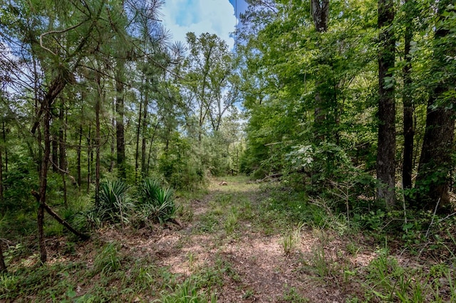 2149 Martin Cochran Rd, Huntington, TX 75949