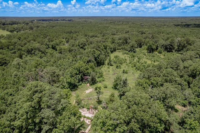 2149 Martin Cochran Rd, Huntington, TX 75949