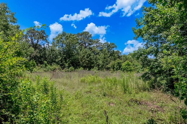 2149 Martin Cochran Rd, Huntington, TX 75949