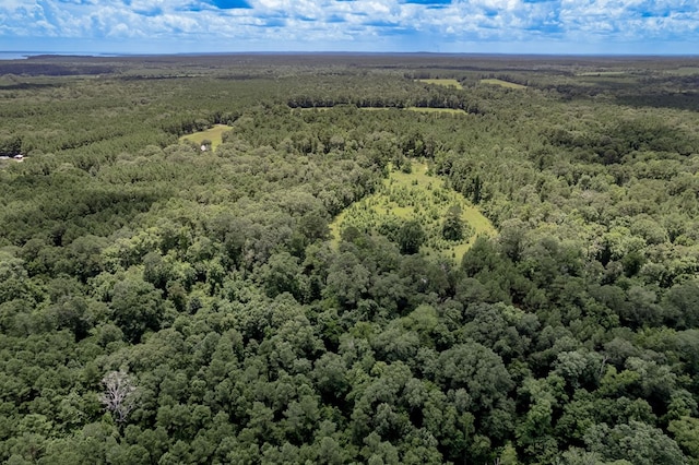 2149 Martin Cochran Rd, Huntington, TX 75949