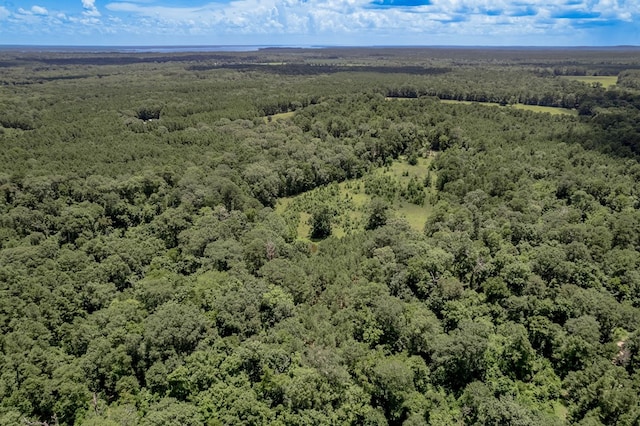 2149 Martin Cochran Rd, Huntington, TX 75949