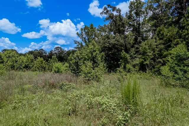 2149 Martin Cochran Rd, Huntington, TX 75949