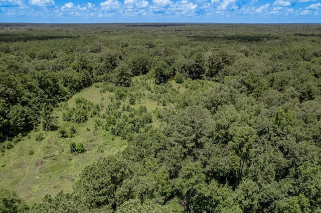 2149 Martin Cochran Rd, Huntington, TX 75949