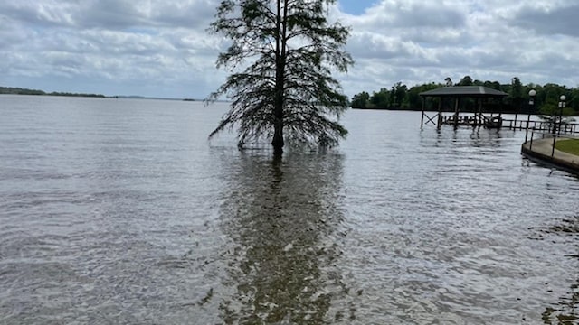 water view featuring a dock