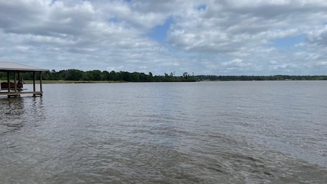 property view of water with a boat dock