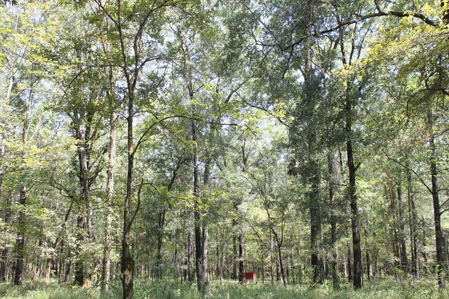 6483 Fm 844, Huntington, TX 75949 - photo 48