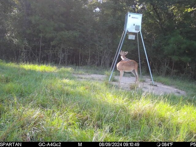 6483 Fm 844, Huntington, TX 75949 - photo 38