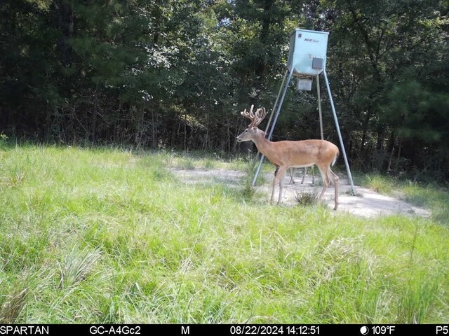 6483 Fm 844, Huntington, TX 75949 - photo 37