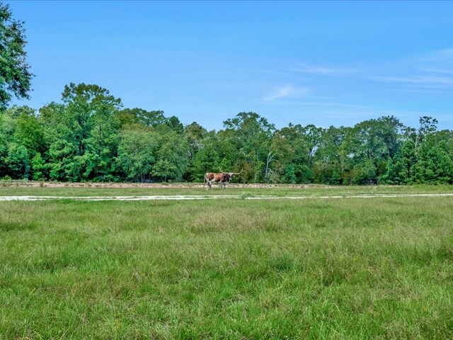 6483 Fm 844, Huntington, TX 75949 - photo 10