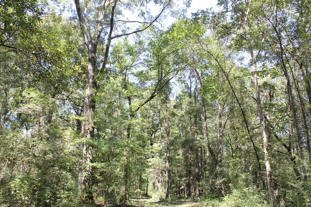 6483 Fm 844, Huntington, TX 75949 - photo 42
