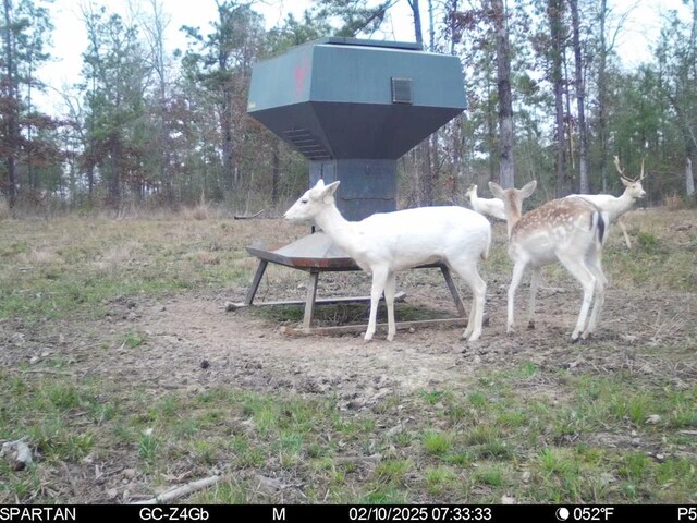 6483 Fm 844, Huntington, TX 75949 - photo 67