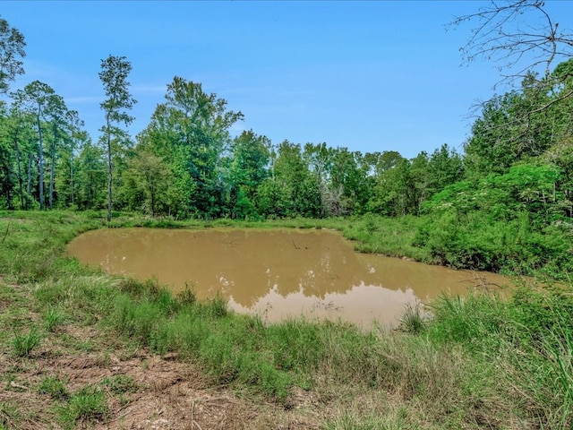 6483 Fm 844, Huntington, TX 75949 - photo 11