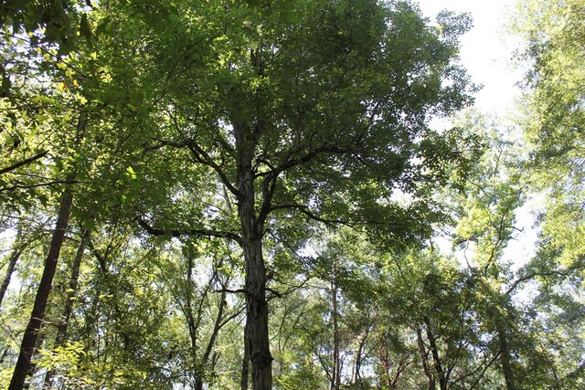 6483 Fm 844, Huntington, TX 75949 - photo 57