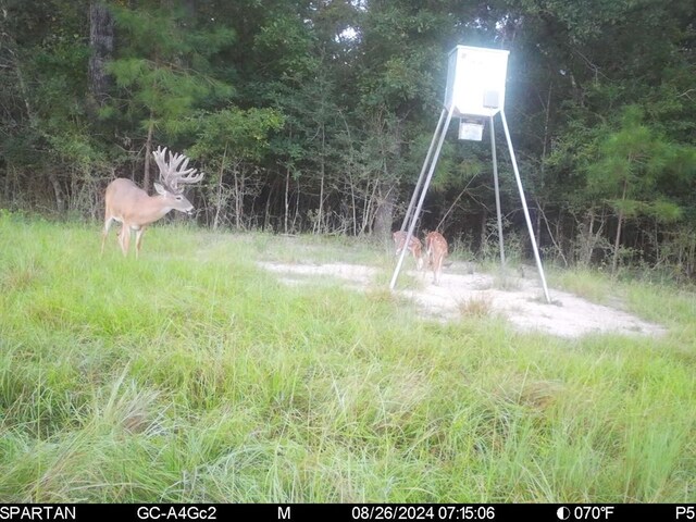 6483 Fm 844, Huntington, TX 75949 - photo 36
