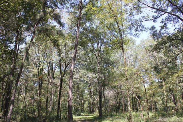 6483 Fm 844, Huntington, TX 75949 - photo 56