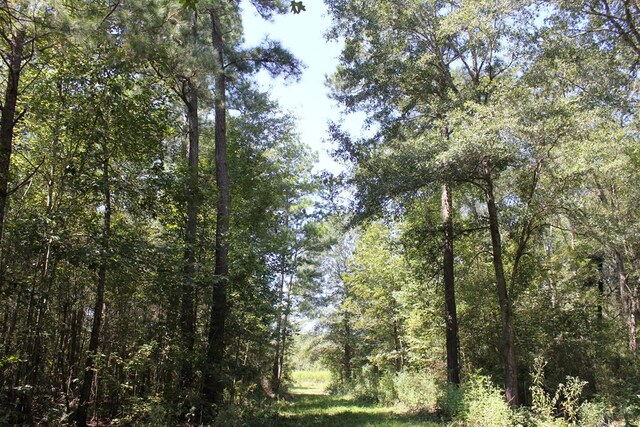 6483 Fm 844, Huntington, TX 75949 - photo 65