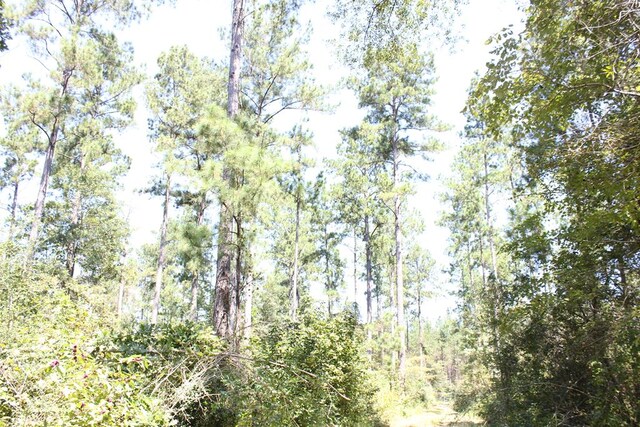 6483 Fm 844, Huntington, TX 75949 - photo 52
