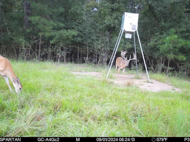 6483 Fm 844, Huntington, TX 75949 - photo 34