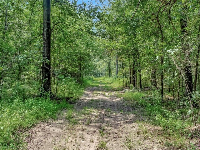 6483 Fm 844, Huntington, TX 75949 - photo 15