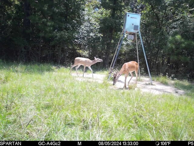 6483 Fm 844, Huntington, TX 75949 - photo 39
