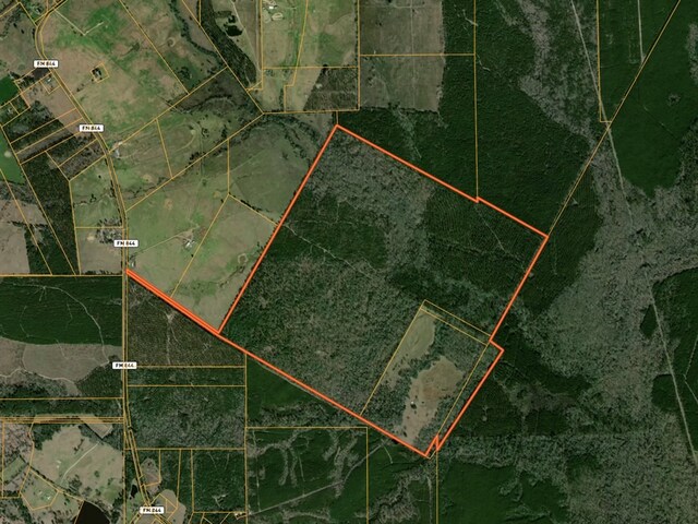 6483 Fm 844, Huntington, TX 75949 - photo 33