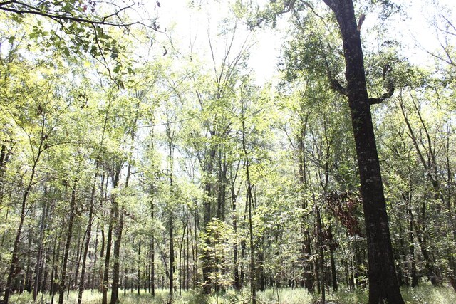 6483 Fm 844, Huntington, TX 75949 - photo 45