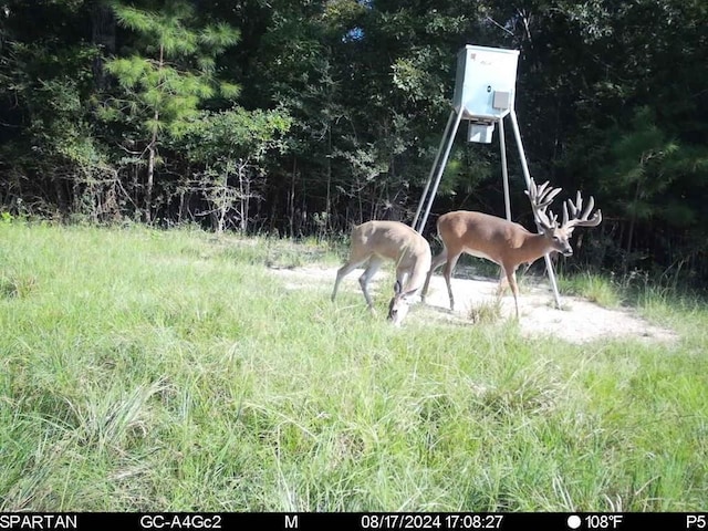 6483 Fm 844, Huntington, TX 75949 - photo 2