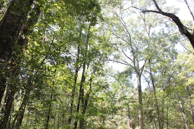6483 Fm 844, Huntington, TX 75949 - photo 43