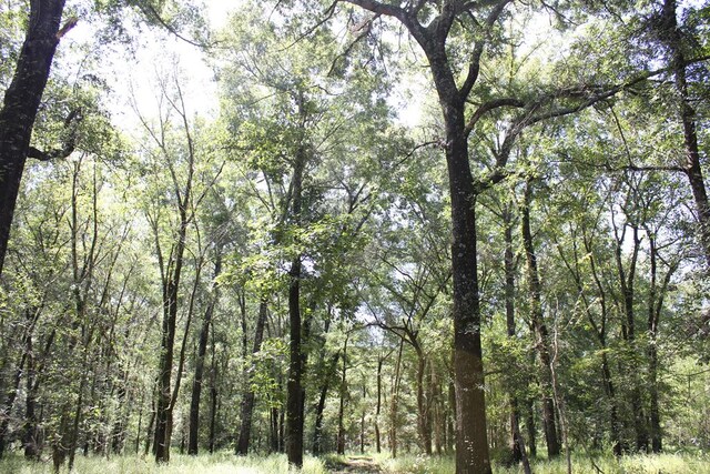 6483 Fm 844, Huntington, TX 75949 - photo 44