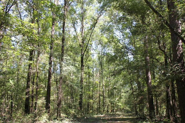 6483 Fm 844, Huntington, TX 75949 - photo 62