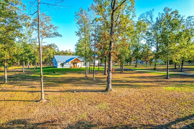 view of community with a lawn