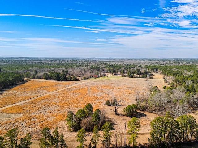 aerial view with a rural view