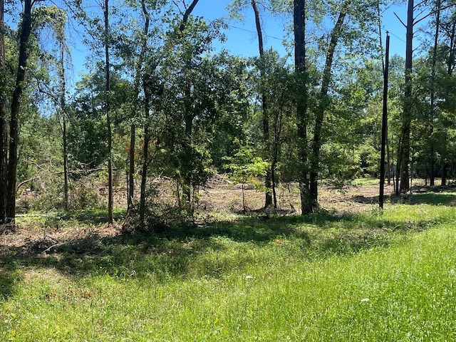 R16018 Davisville Rd, Lufkin TX, 75901 land for sale