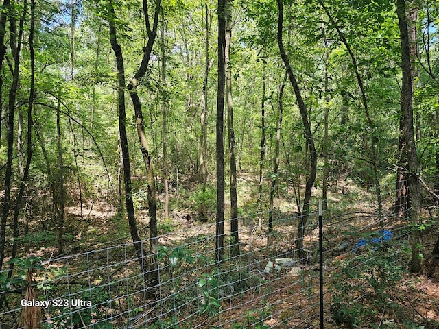 449 County Road 4851, Timpson, TX 75975 - photo 14