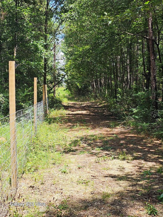 449 County Road 4851, Timpson, TX 75975 - photo 4