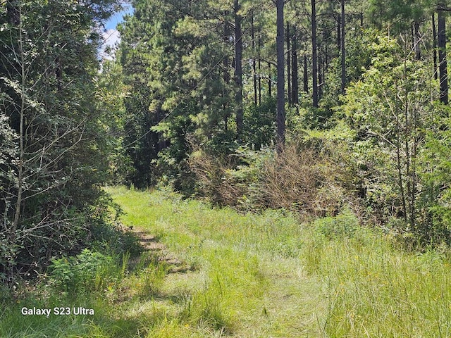 449 County Road 4851, Timpson, TX 75975 - photo 2