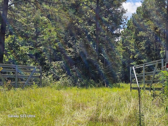 449 County Road 4851, Timpson, TX 75975 - photo 3